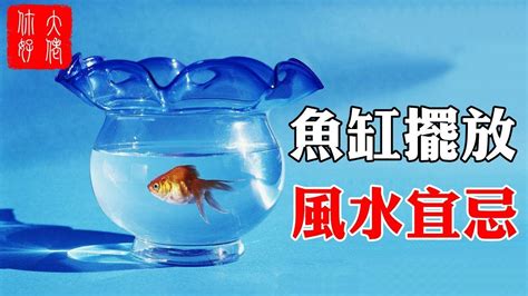 房間養魚好嗎|魚缸能招財…但千萬別放這些地方！觸犯「5禁忌」反損財 